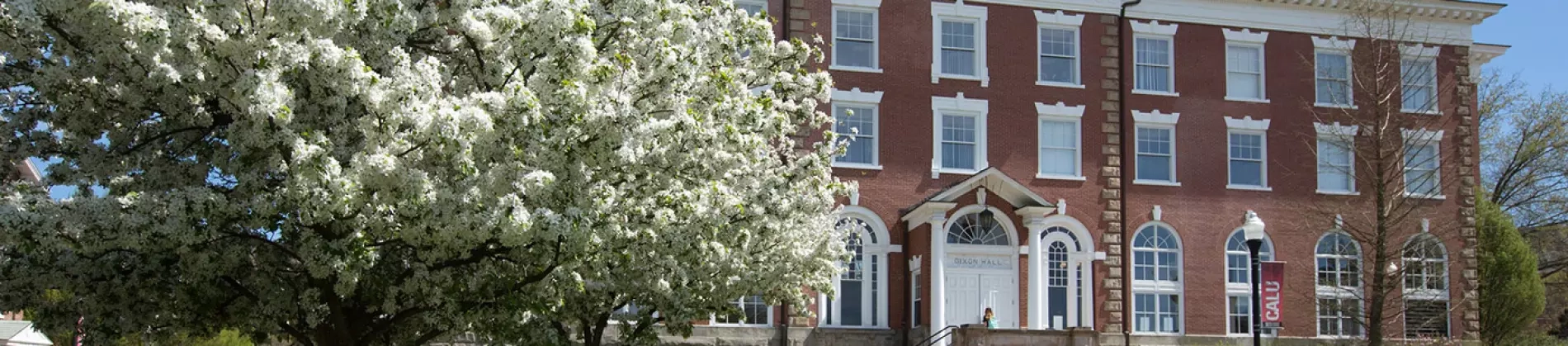 Arabic Language and Cultures